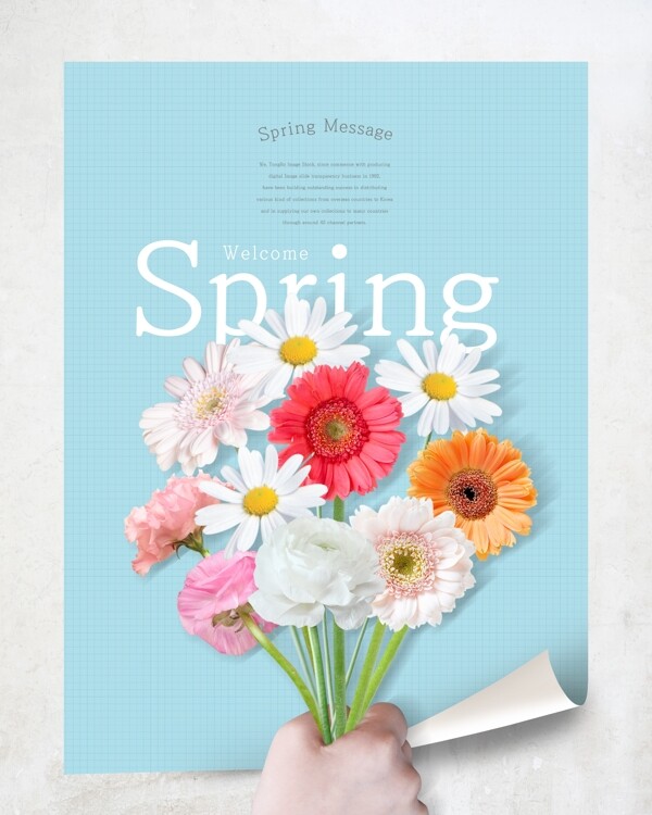 春季花朵海报模板设计