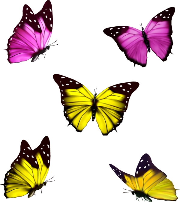 花蝴蝶矢量素材图片