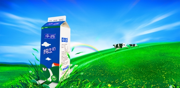 龙腾广告平面广告PSD分层素材源文件饮料华西牛奶