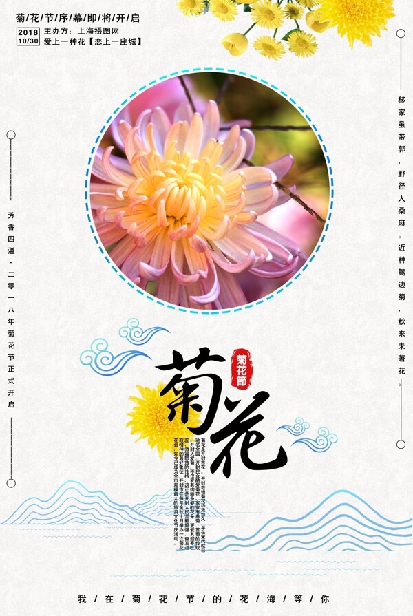 简约中国风菊花节宣传海报