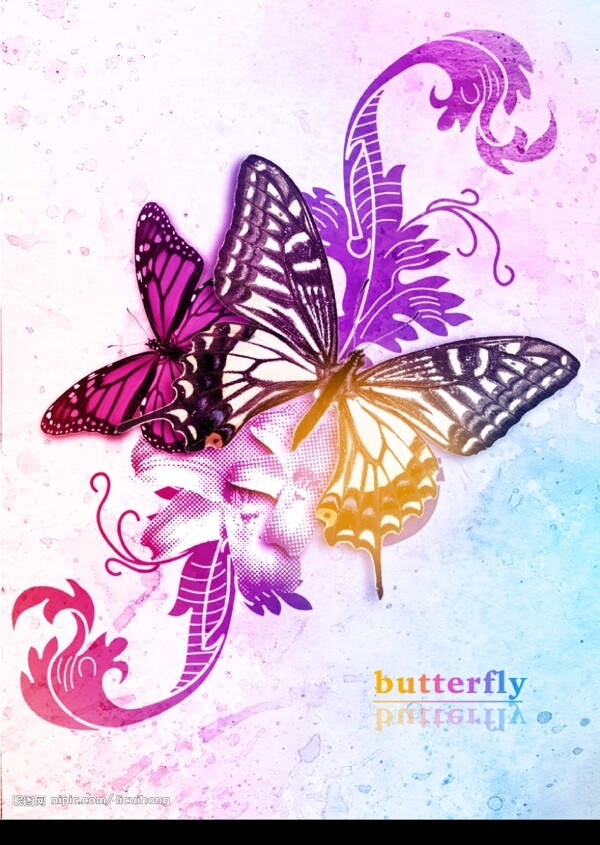 蝴蝶花纹背景图片