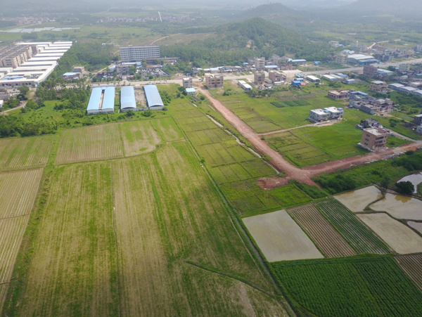 田野