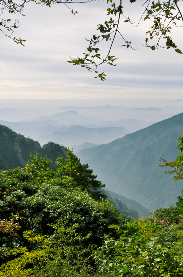 黄山图片