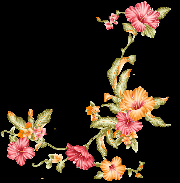 中国风古典手绘花卉花朵