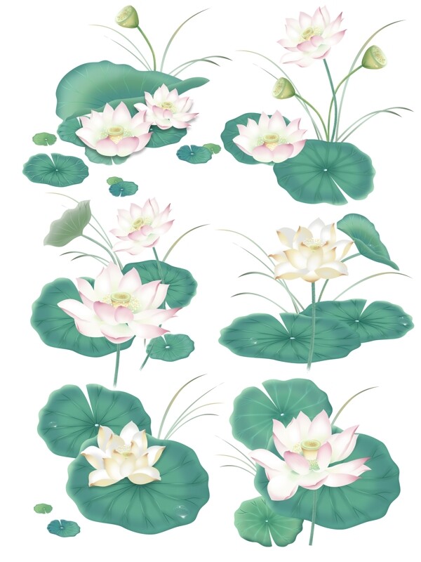 手绘清新水墨插画荷花荷叶花卉植物中国风