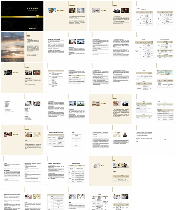 金融业务私人银行卡宣传画册