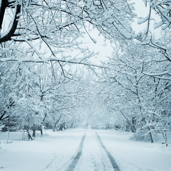 冬天的道路雪景图片