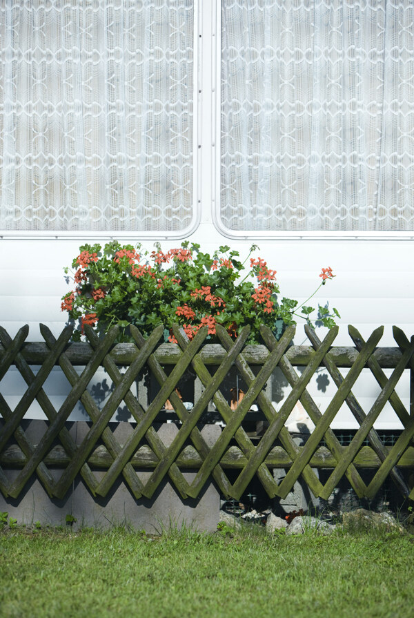 鲜花木栅栏窗户风景图片