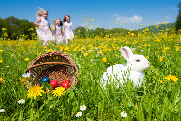 花丛里的复活节兔子与彩蛋图片