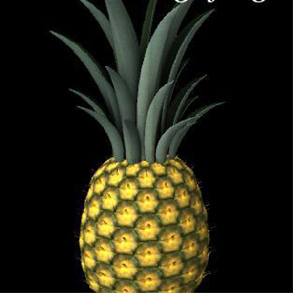 黄色菠萝游戏模型