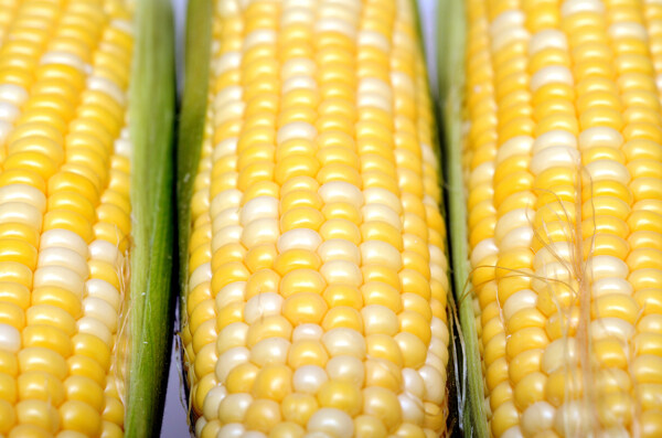 新鲜玉米背景图片