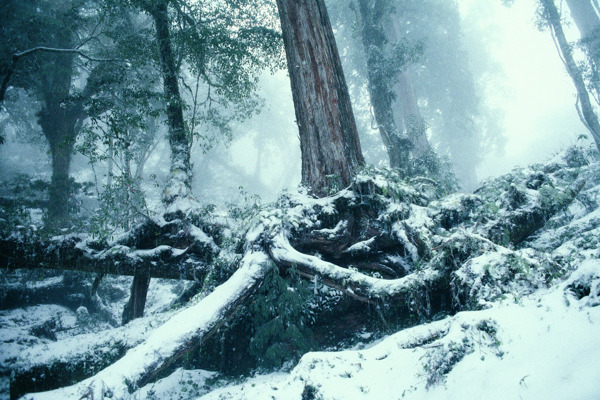 冬天雪景