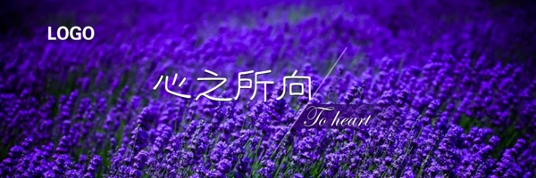 薰衣草banner