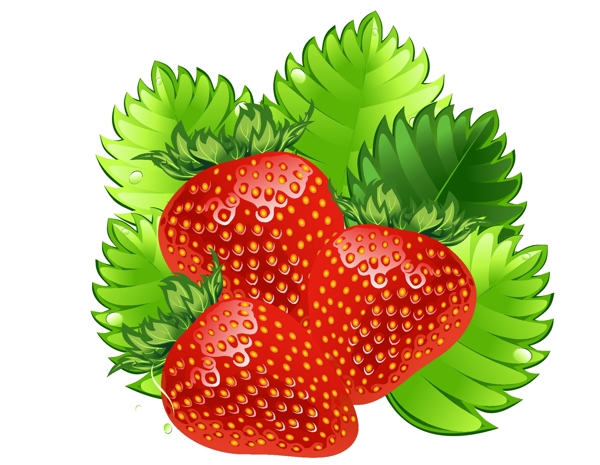 手绘田园新鲜草莓矢量图