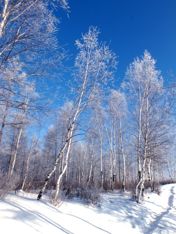 冬天五峰山风景图片