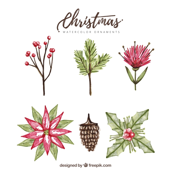 6款水彩绘圣诞植物矢量素材