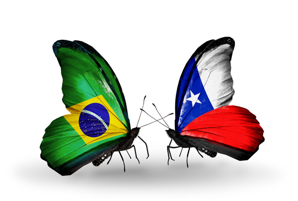 巴西蝴蝶国旗