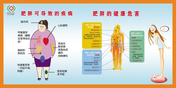 肥胖的健康危害图片