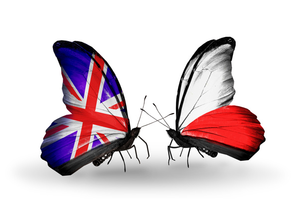 英国国旗与蝴蝶