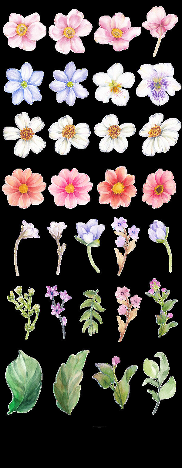 水彩花卉透明装饰素材