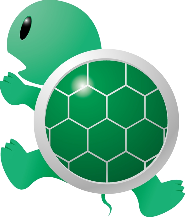 绿壳小乌龟图片