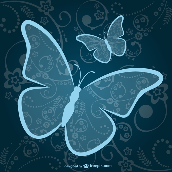 观赏性蓝蝶
