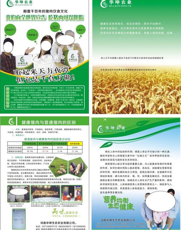 华坤农业彩页图片