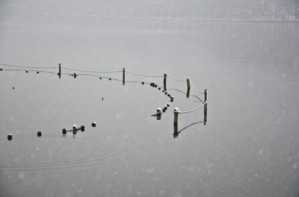 西湖雪景图片