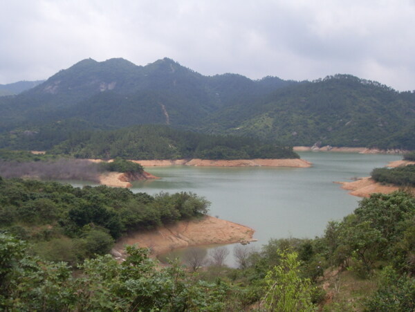 树植物水风景