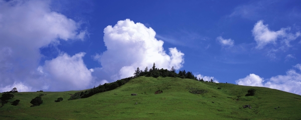 山山坡