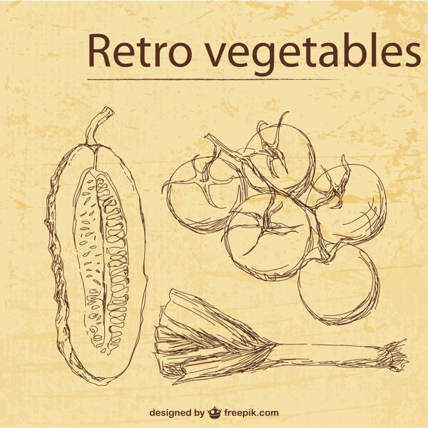 复古蔬菜插图模板