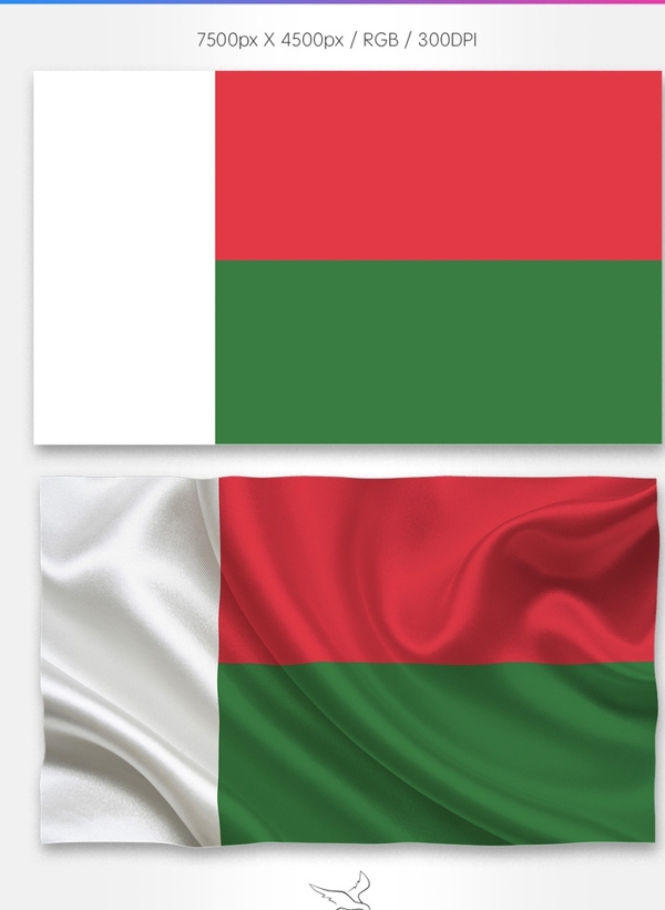 马达加斯加国旗分层psd
