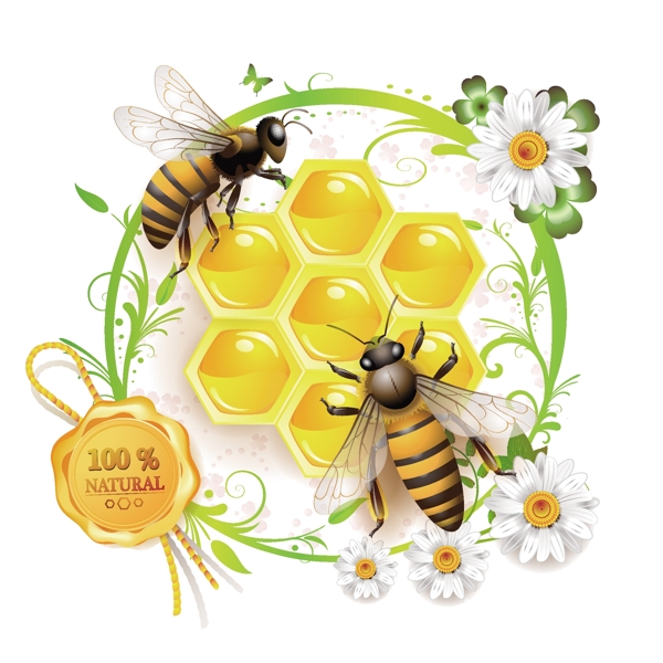 创意蜜蜂蜂巢花边矢量素材