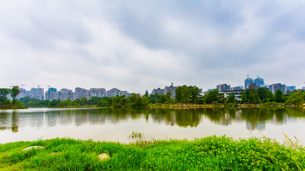 锦城公园图片