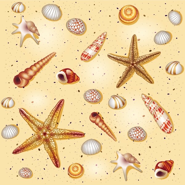 海星海螺花纹背景图