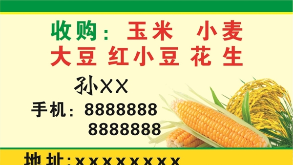 玉米名片