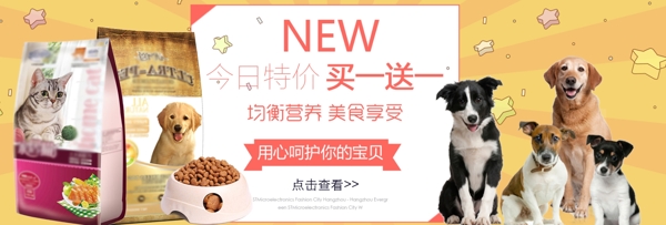 纯色背景猫粮促销海报banner