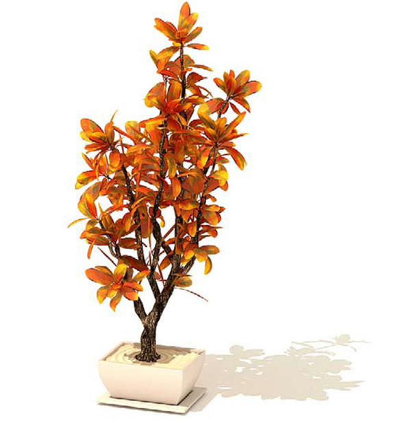 室内装饰3D植物盆景模型