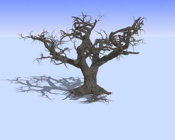 老枯树精细3D模型图片