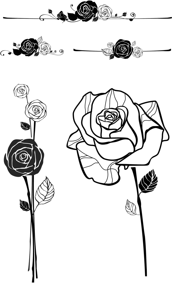 玫瑰花朵手绘
