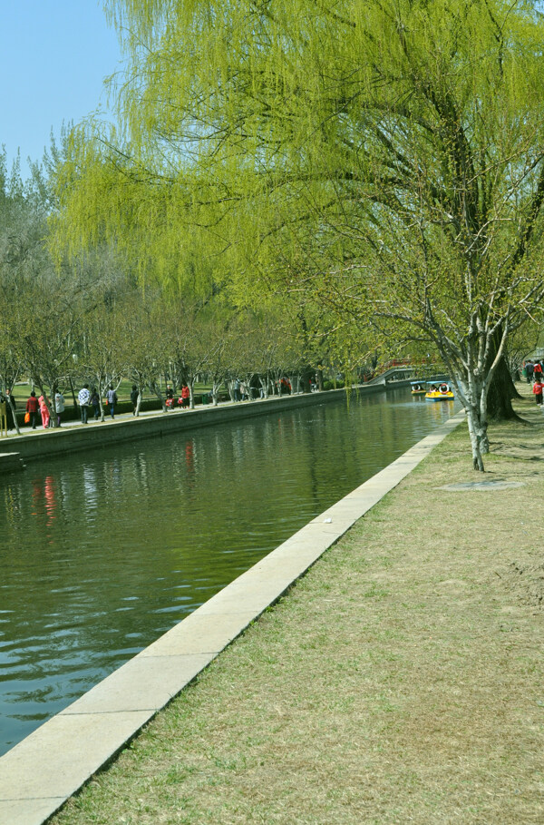 北京的春天图片