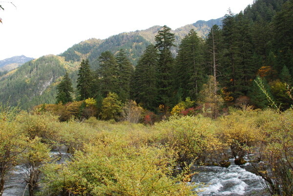 美丽的山水风景