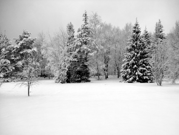 冬天雪景圣诞节寒冷冰雪实用图片精美图片印刷适用高清图片创意图片