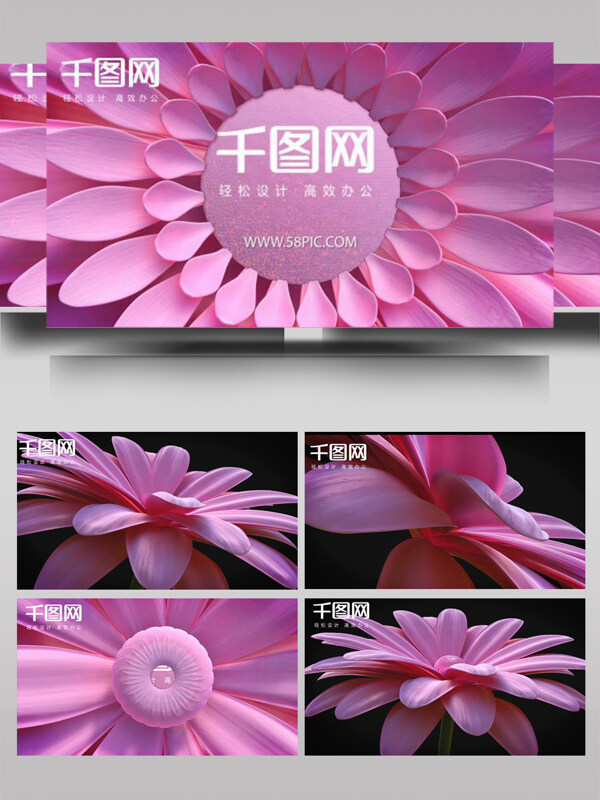 粉色花朵化妆品logo展示ae模板