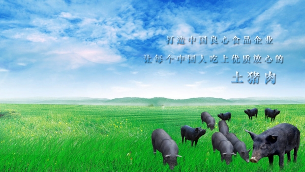 网站banner