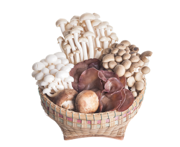 竹篮里的不同品种的蘑菇图片