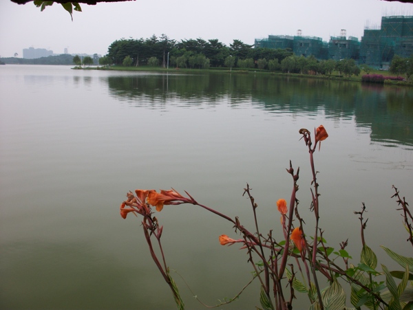 美丽湖面风景