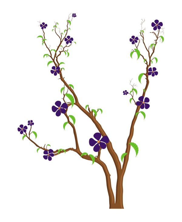 漂亮的紫色花朵的树枝