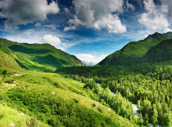 绿色山脉风景图片
