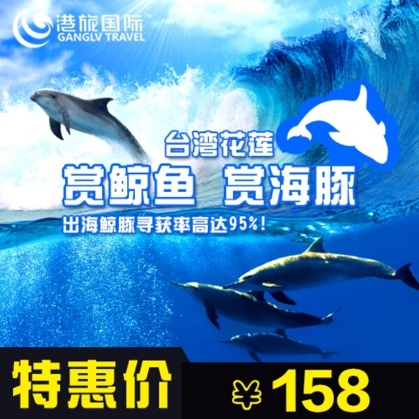 鲸鱼台湾主图